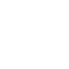 Laravel icon