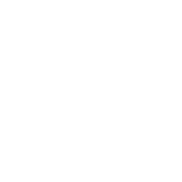 Ikona asp.net