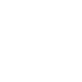 Crypto ikona