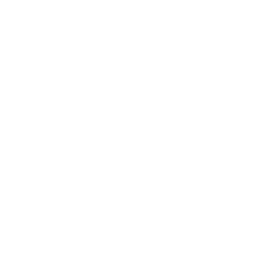 Nette framework logo