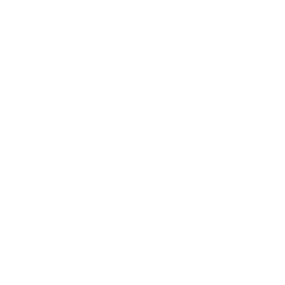 Windows server ikona