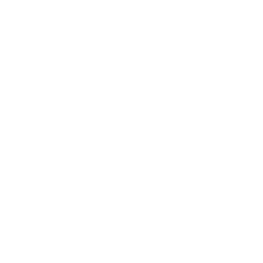 Lightroom online kurz ikona